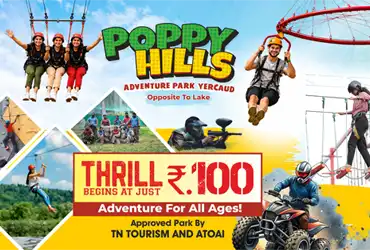 Best adventure park in Yercaud - Poppy Hills