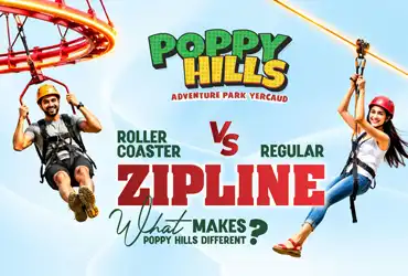 Roller Coaster Zipline vs Regular Zipline: What Makes Poppy Hills Different?