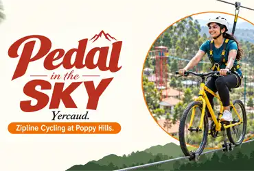 Pedal in the Sky: Zipline Cycling Adventure at Poppy Hills, Yercaud